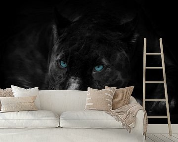 Black panther with blue eyes by Bert Hooijer