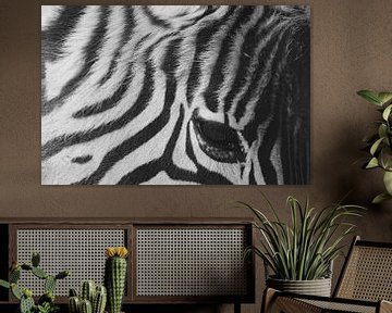 Zebra Essentie - Contrast in Zwart en Wit van Femke Ketelaar