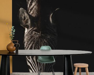 Zebra | fine-art | stripes | colour by Femke Ketelaar