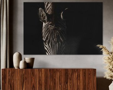 Zebra | fine-art | strepen | kleur van Femke Ketelaar