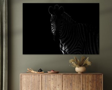 Schaduwspel - Zebra in Monochromatische Mystiek van Femke Ketelaar