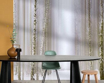 Birch Forest by Violetta Honkisz