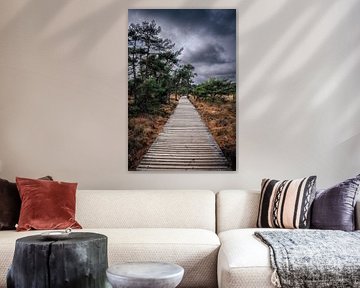 le chemin