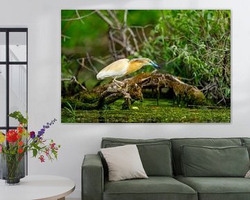 De blauwe reiger in de Donaudelta van Roland Brack