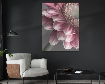 Pastel: Soft pink and grey by Marjolijn van den Berg