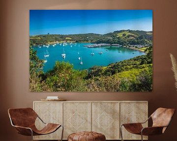 Beautiful bay in Waiheke Island, New Zealand by Troy Wegman