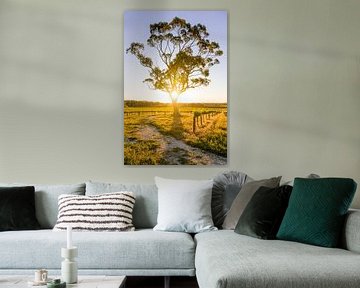 Sunset Vineyard Barossa Valley, Australie sur Troy Wegman