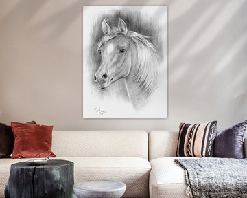 Paardenportret potloodtekening