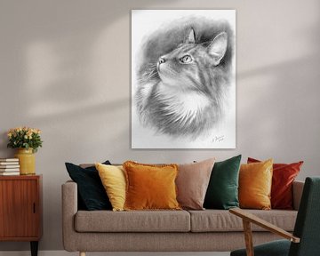 Potloodtekening portret kat