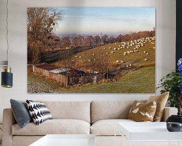 Heuvel met schapen in Vaals van John Kreukniet