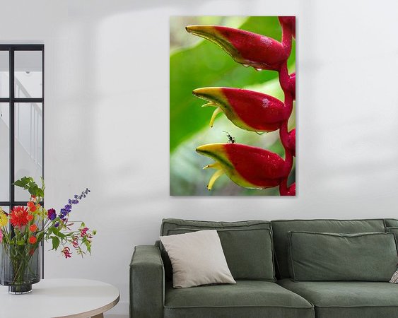 Aperçu de la chambre