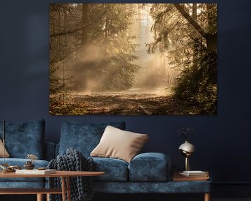 Magisch licht in het bos van KB Design & Photography (Karen Brouwer)