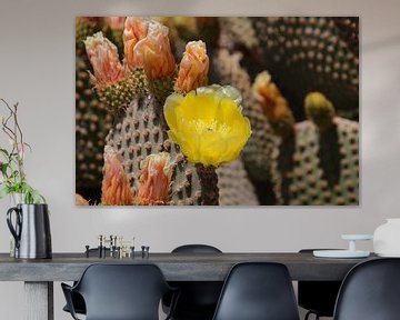 Bloesems van de cactusvijg van Ines Porada