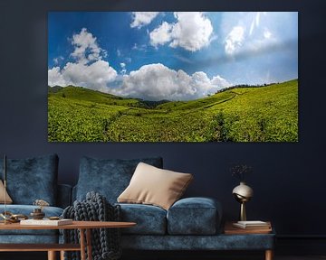 Grüne Teefelder mit blauem Himmel von Floyd Angenent