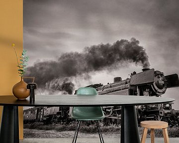 Dampflok fährt auf dem Land von Sjoerd van der Wal Fotografie