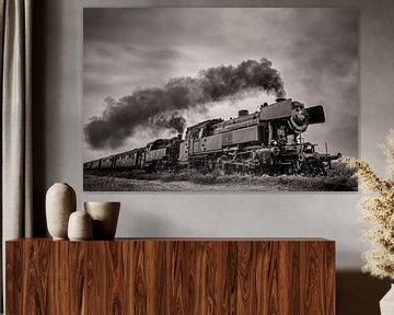 Train à vapeur en noir et blanc sur Sjoerd van der Wal