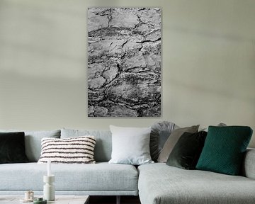 Textuur van boombast in zwart wit 2 | Natuurfotografie, Abstract van Merlijn Arina Photography