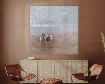 Two sheep on the heath by Miny'S