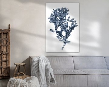 Botanische kunst in retro kleuren. Blauw en wit. Japanse stijl. van Dina Dankers