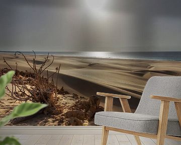 Boa Vista sand dunes by Giovanni della Primavera