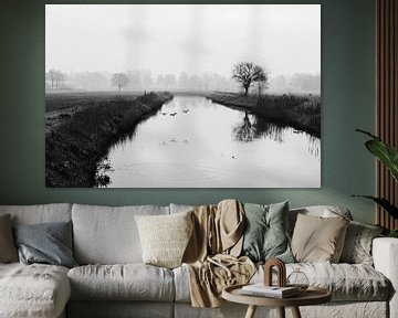 Mistige ochtend aan het water