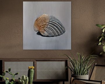 Fibonacci was here - painting of a shell