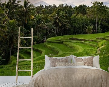 Rijstveld met bergen in Ubud | Bali van Ellis Peeters