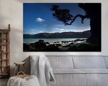 Evening skimming light on the beach on the coast of Matheson Bay New Zealand by Albert Brunsting