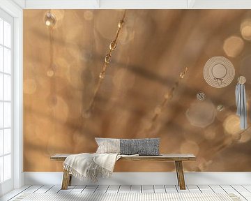 Abstract: Drops on grass spikes by Marjolijn van den Berg