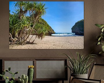 Plage abandonnée avec des noix de coco. sur Floyd Angenent