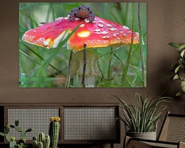 Pad de stoel  von Udo Schutte