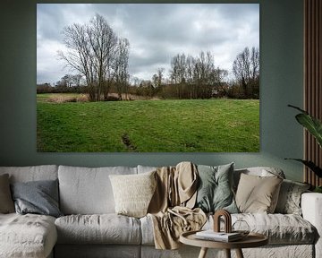 Ein Stück Natur in Grimbergen, in der Nähe von Brüssel