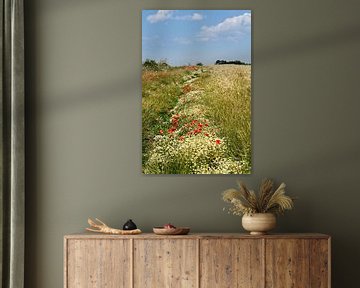 Summer meadow on Rügen by Ralf Lehmann