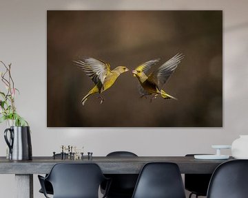 Greenfinches in flight by Gonnie van de Schans