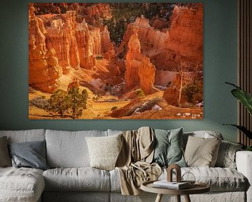 Bryce Canyon by Martin Podt