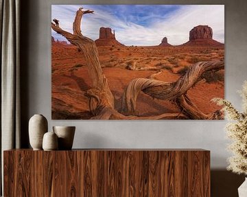 Les moufles de Monument Valley sur Martin Podt