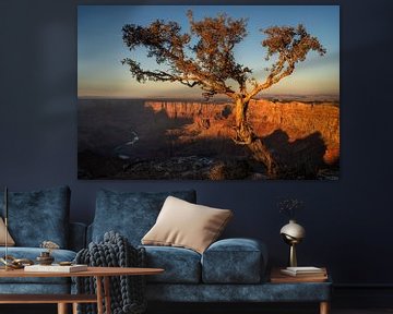 Arbre surplombant le Grand Canyon sur Martin Podt