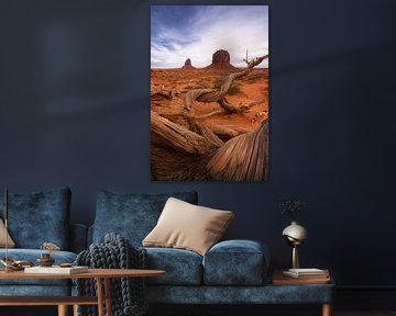 Hout in Monument Valley