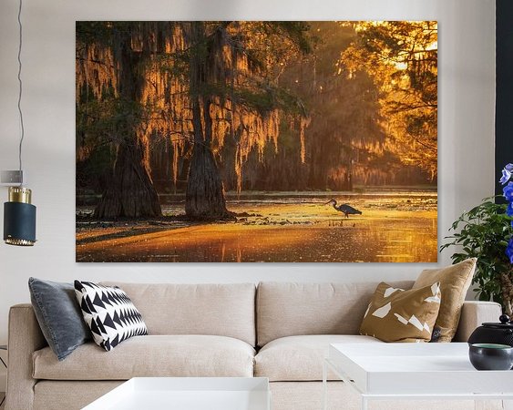 Aperçu de la chambre