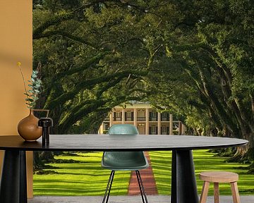 Oak Alley Plantation bij zonsopgang