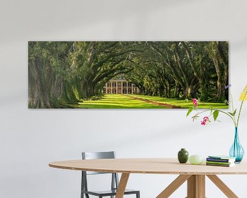 Oak Alley Plantation panorama by Martin Podt