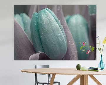 Creatief gekleurde tulpen met regendruppels van Jolanda de Jong-Jansen