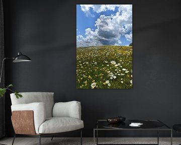 Een bloeiend veld onder een bewolkte hemel van Claude Laprise
