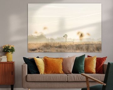 Beautiful still life image in Friesland by Lydia