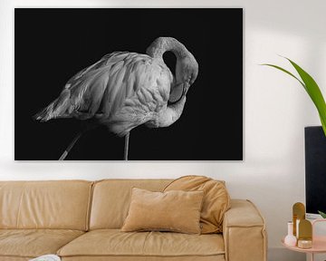 Elegant | Flamingo | Kunst | Schwarz und Weiß von Femke Ketelaar