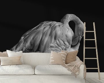 Elegant | flamingo | fine art | black and white by Femke Ketelaar