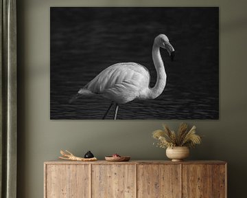Elegant Flamingo fine art zwart wit van Femke Ketelaar