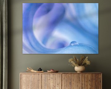 Pastelkleurige rondingen: De golvende vormen van een bloem van Marjolijn van den Berg