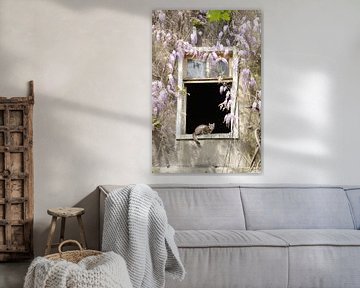 Fenster mit Katze in alter Mauer mit Schlingpflanze von Gonnie van de Schans