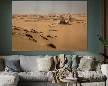 Overview White Desert National Park Egypt by Gerwald Harmsen